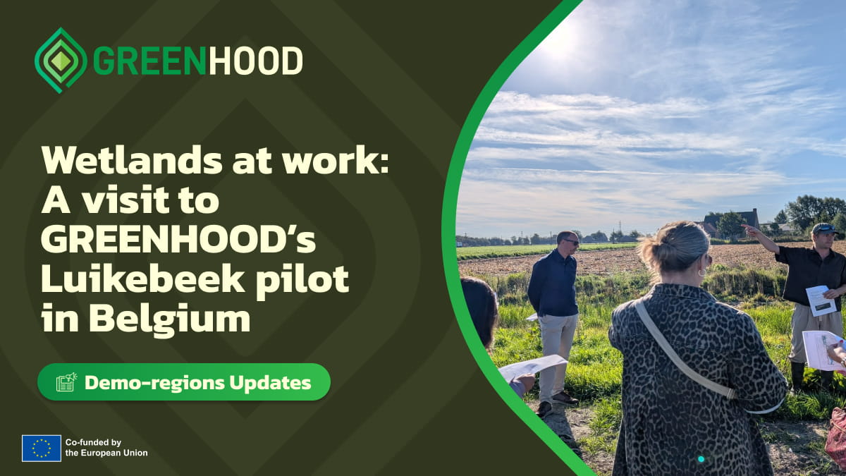 Wetlands at work: A visit to GREENHOOD’s Luikebeek pilot in Belgium