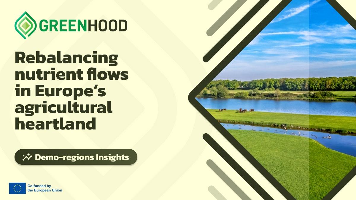Aerial drone view of typical Dutch countryside landscape with green meadow, horses and waterfowls, peaceful rural landscape with river Meuse in spring, the Netherlands